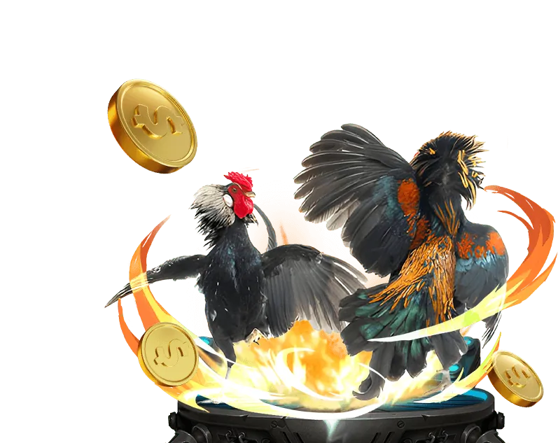 Live Casino game sodo