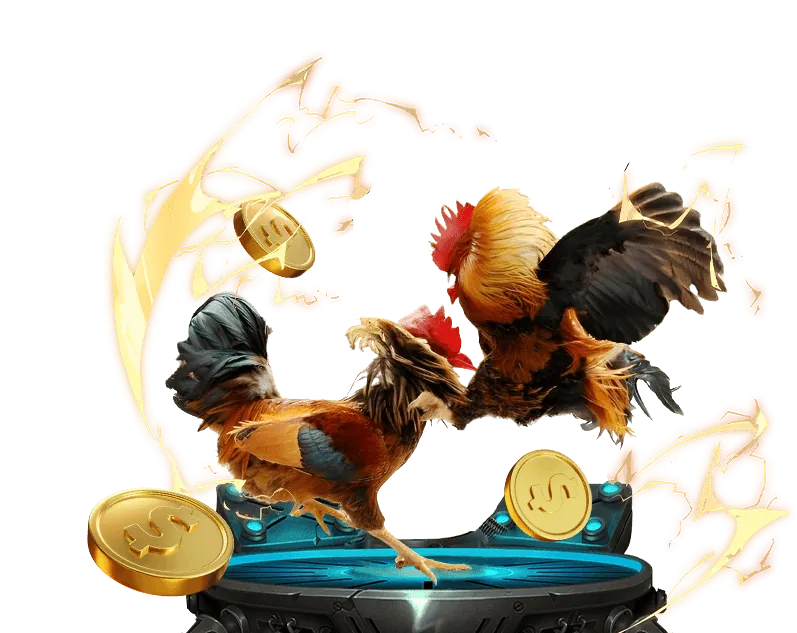 Các loại kèo cược đá gà